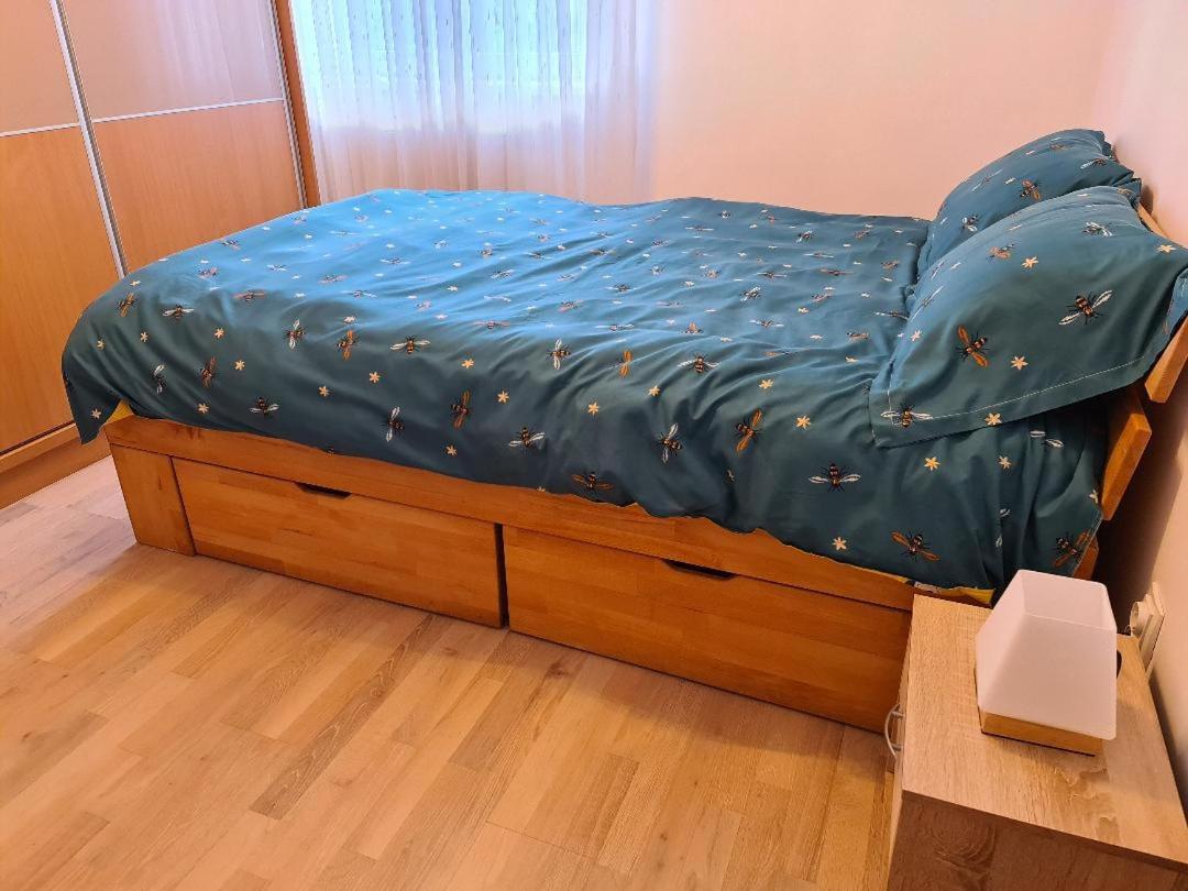 Central Cosy Apart Oradea Apartment ภายนอก รูปภาพ